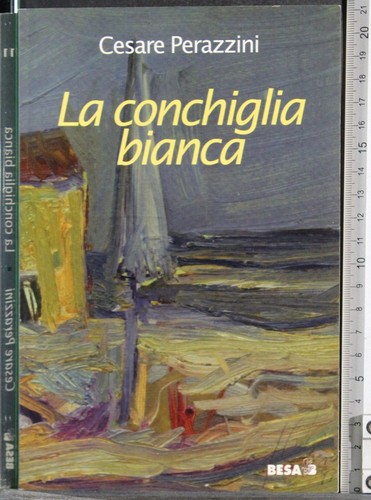 Conchiglia bianca cesare - bianca.,